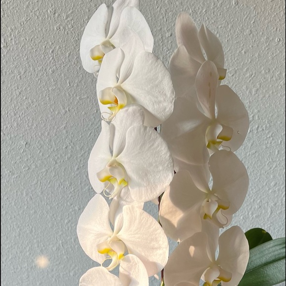 Hello and welcome! 💫 - Picture 8 of 12